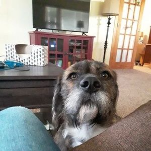 Meet your Posher, Kendrick